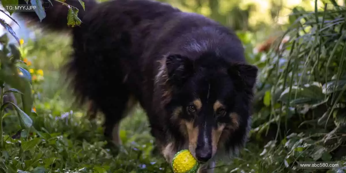 🏆热爱无限，精彩不断！🌟关注我们，解锁更多体育魅力！